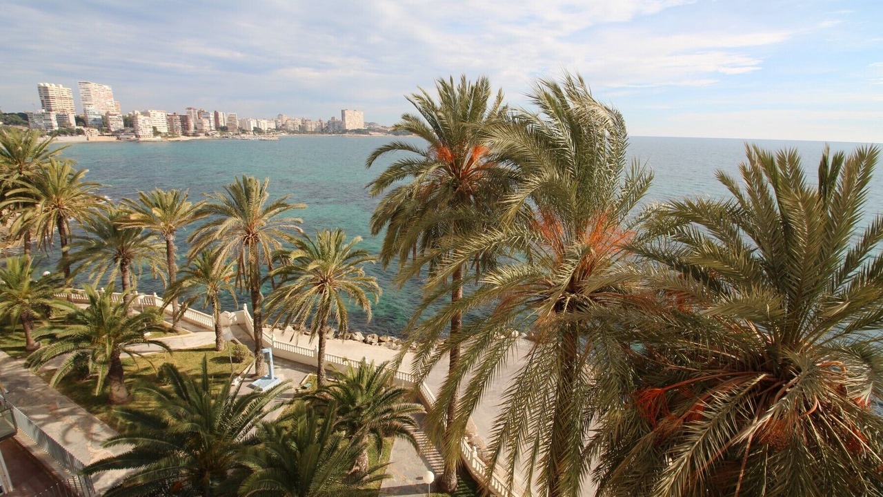 Photo of Outdoor in L'Albufereta