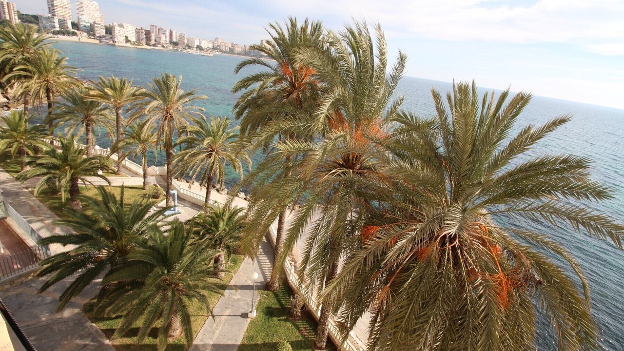 Photo of Outdoor in L'Albufereta