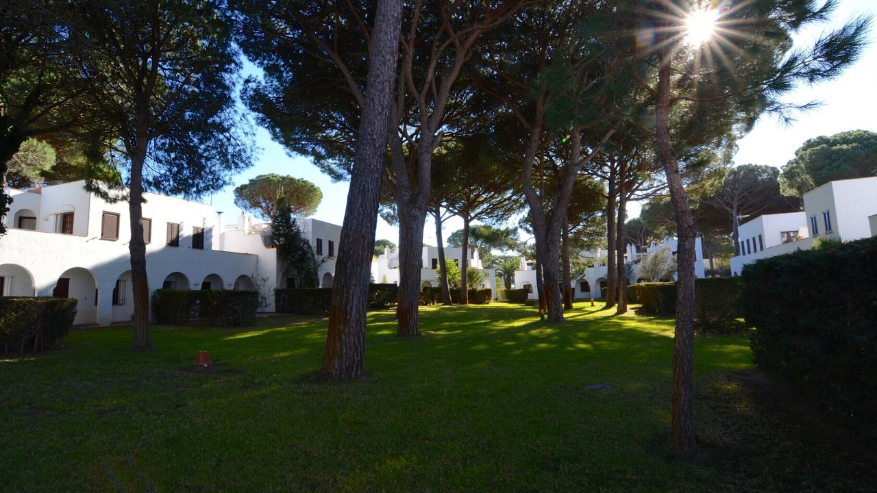 Photo of Outdoor in Pals