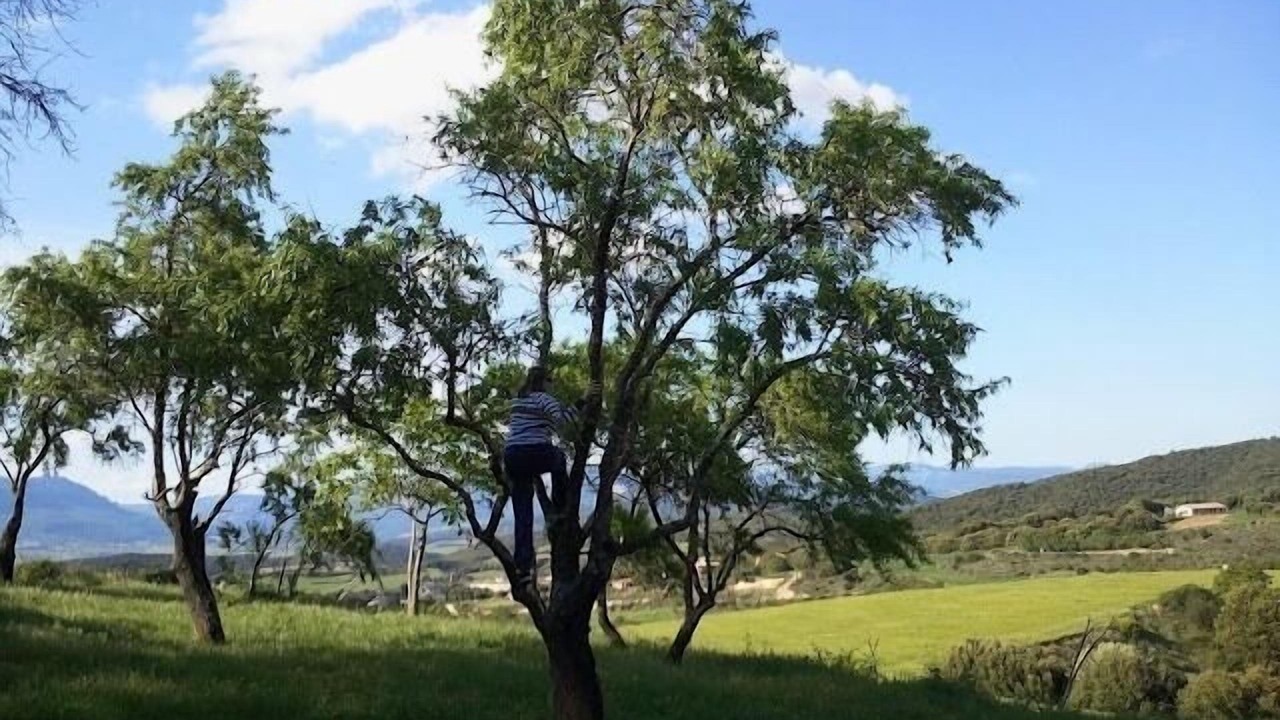 Photo of Outdoor in Azqueta