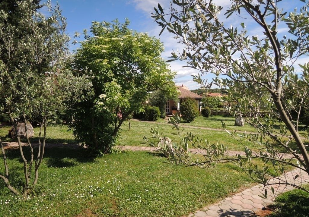 Photo of Outdoor in Vrvari