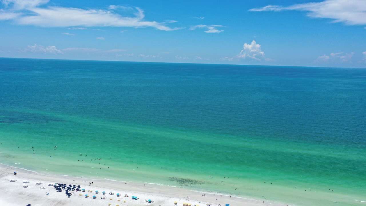 Photo of Others in Siesta Key