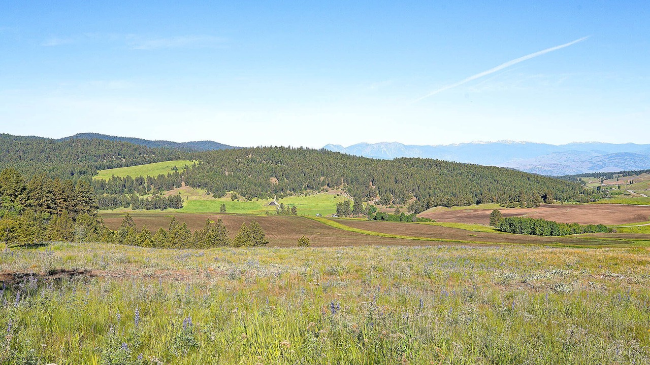 Photo of Outdoor in Oroville