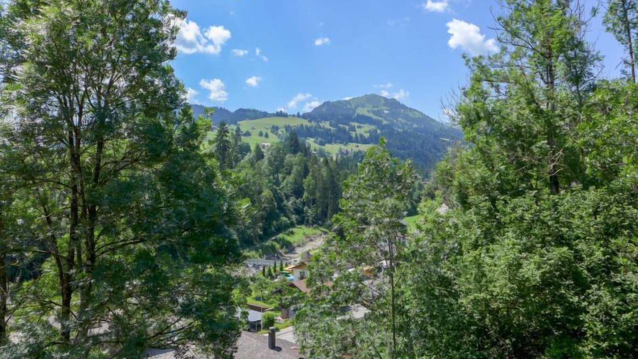 Photo of Others in Zweisimmen