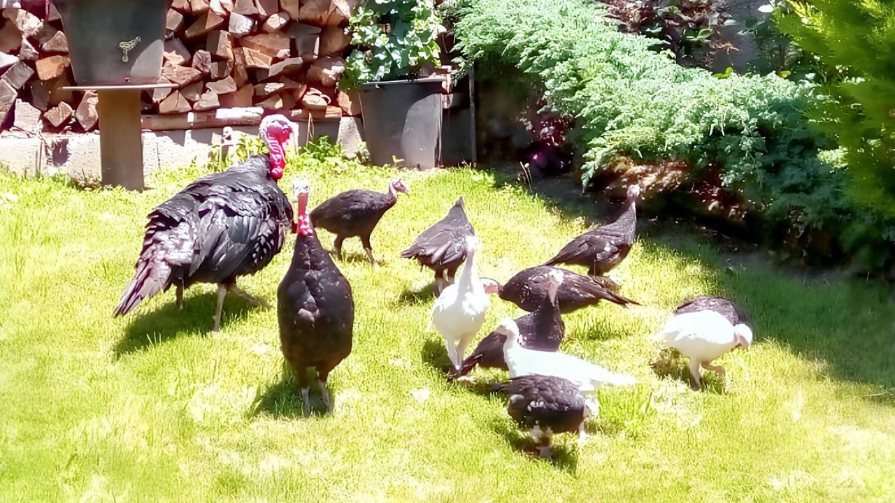 Photo of Others in Juncalas