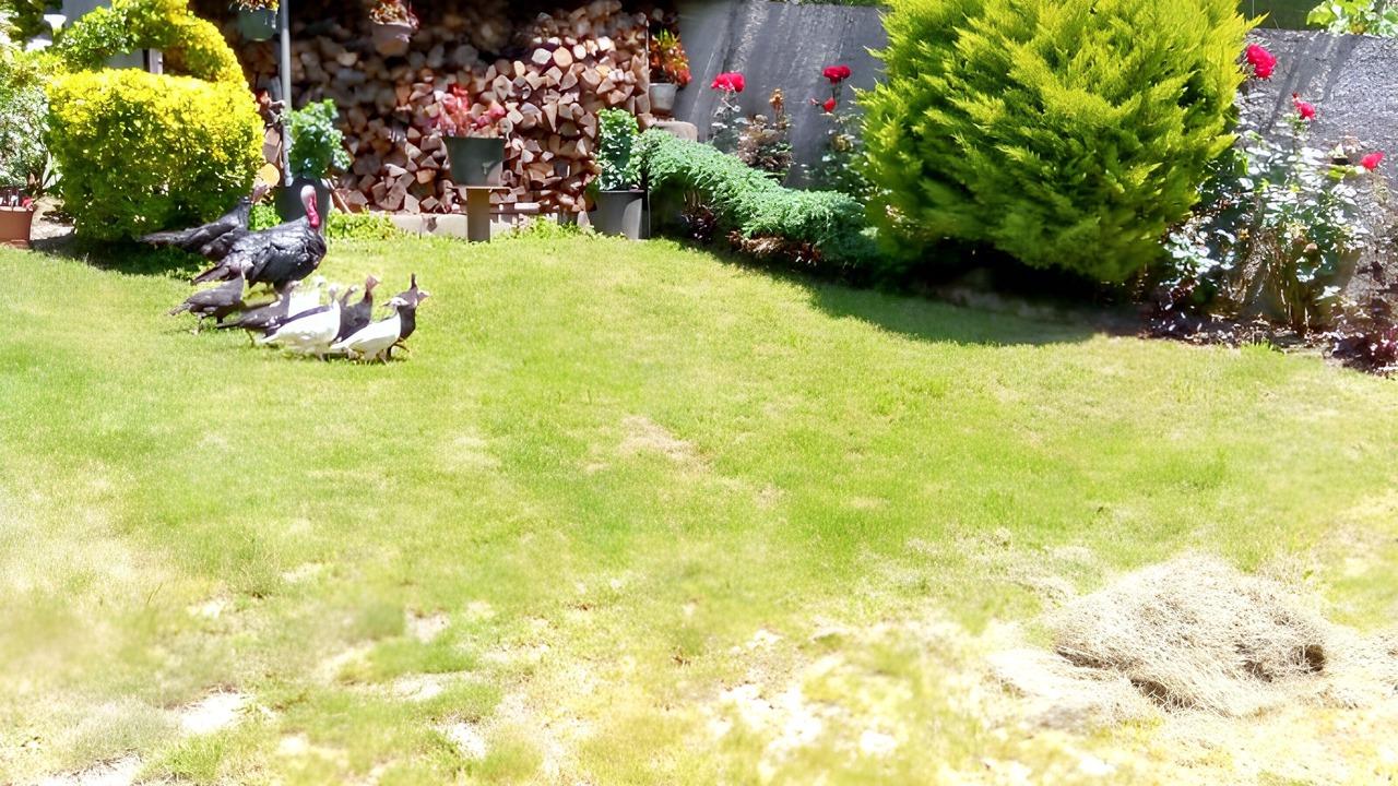 Photo of Others in Juncalas