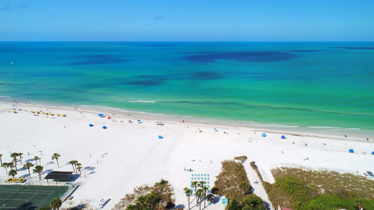 Photo of Others in Siesta Key
