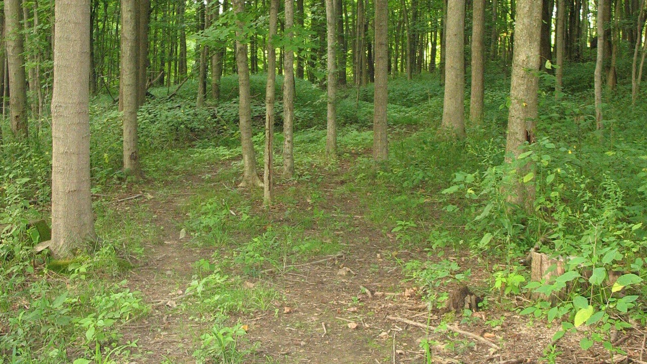Photo of Others in Polk