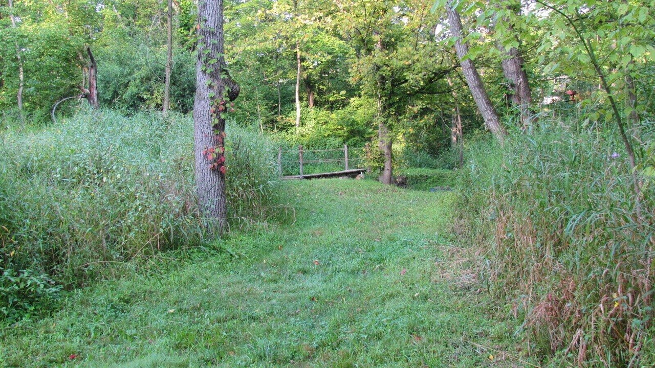 Photo of Others in Polk