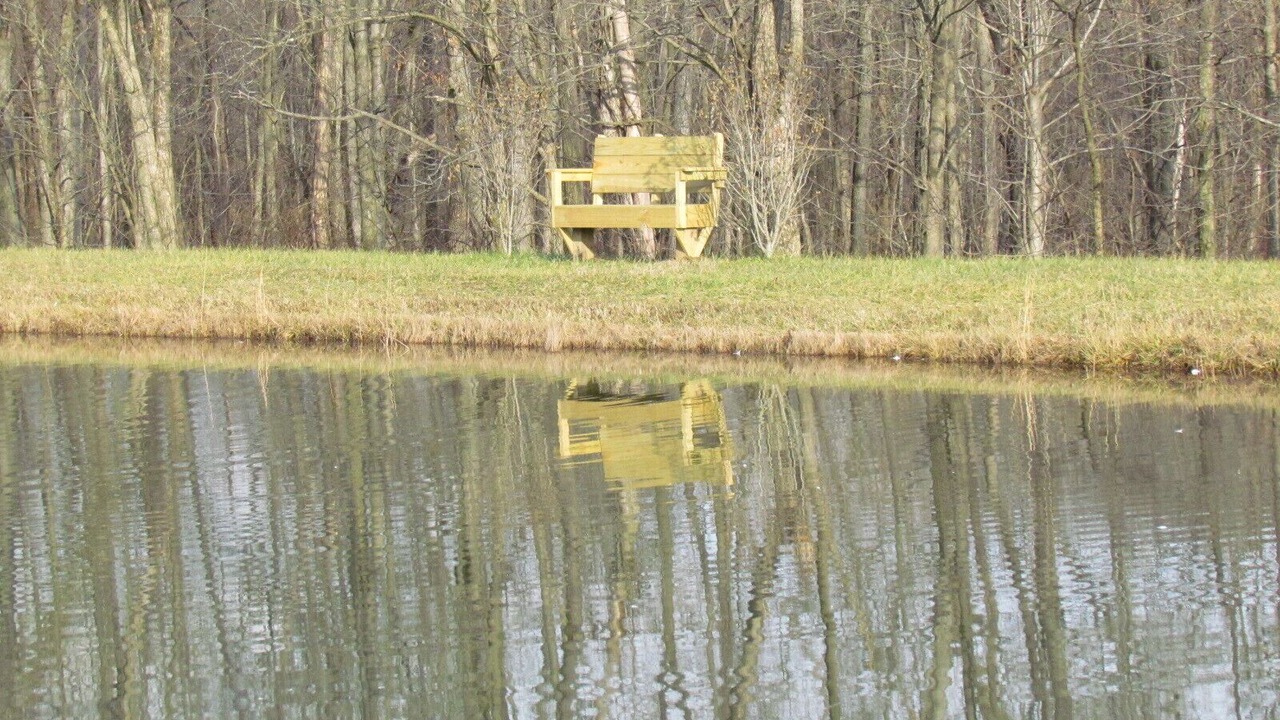 Photo of Others in Polk