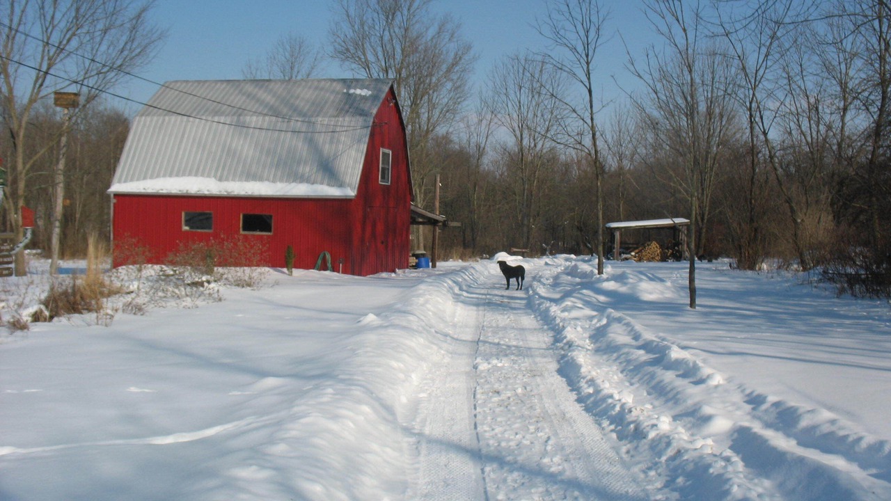 Photo of Outdoor in Polk