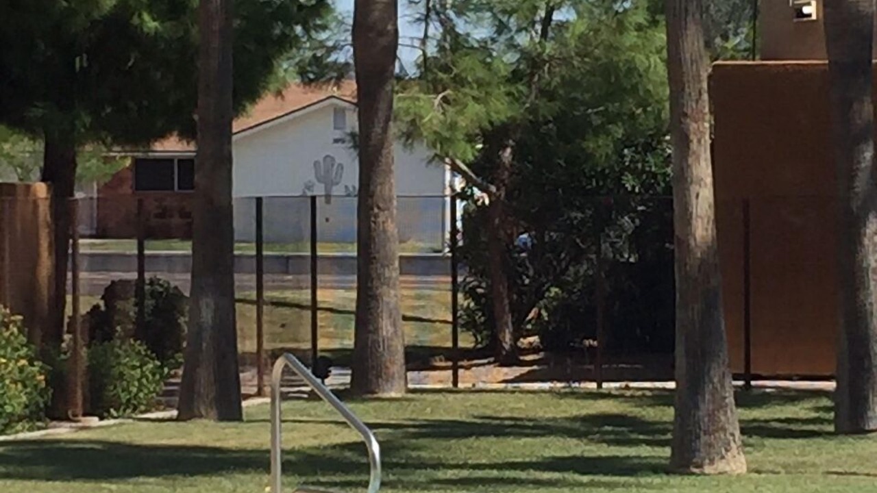 Photo of Others in South Scottsdale
