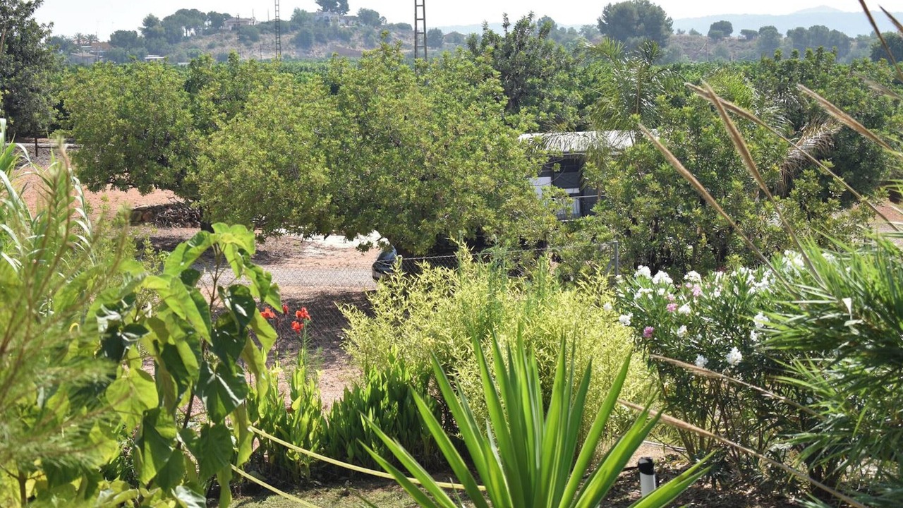 Photo of Outdoor in Pedralba