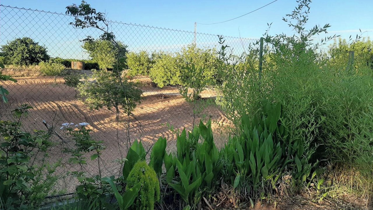 Photo of Outdoor in Pedralba