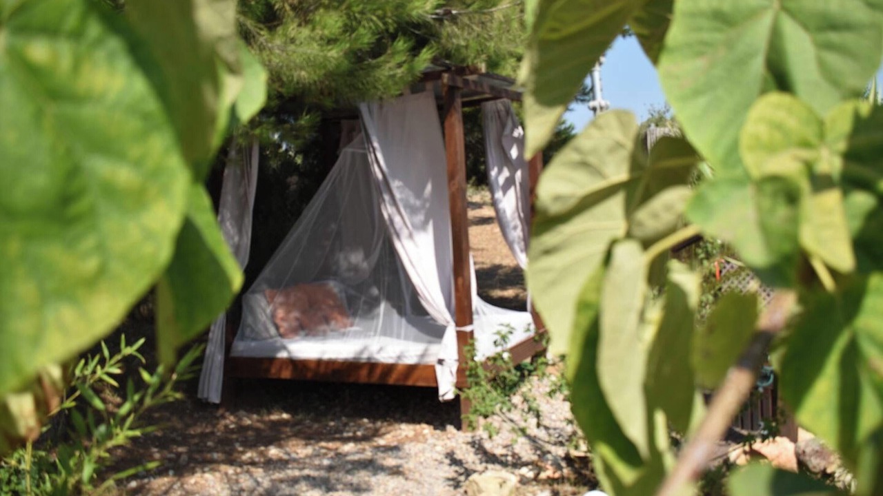 Photo of Outdoor in Pedralba