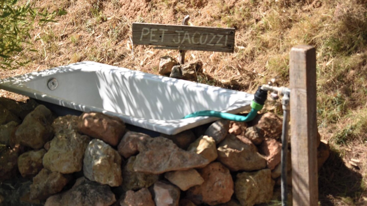 Photo of Others in Pedralba