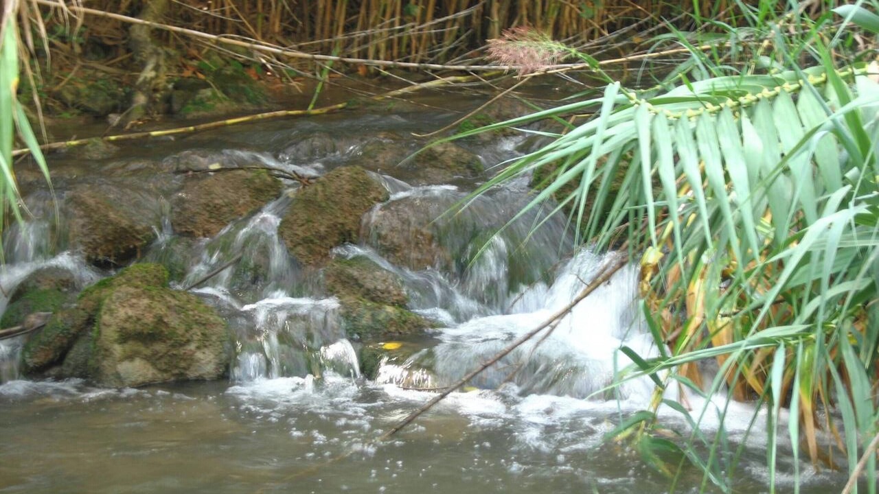 Photo of Outdoor in Pedralba