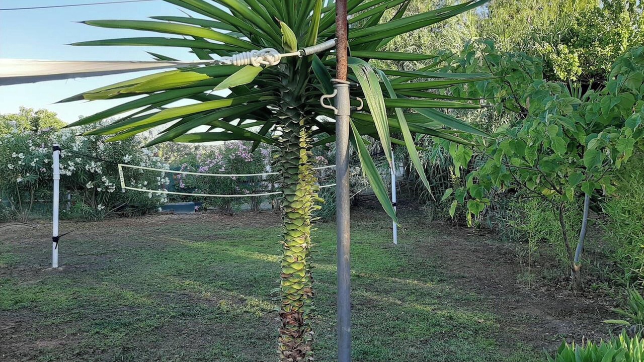 Photo of Others in Pedralba