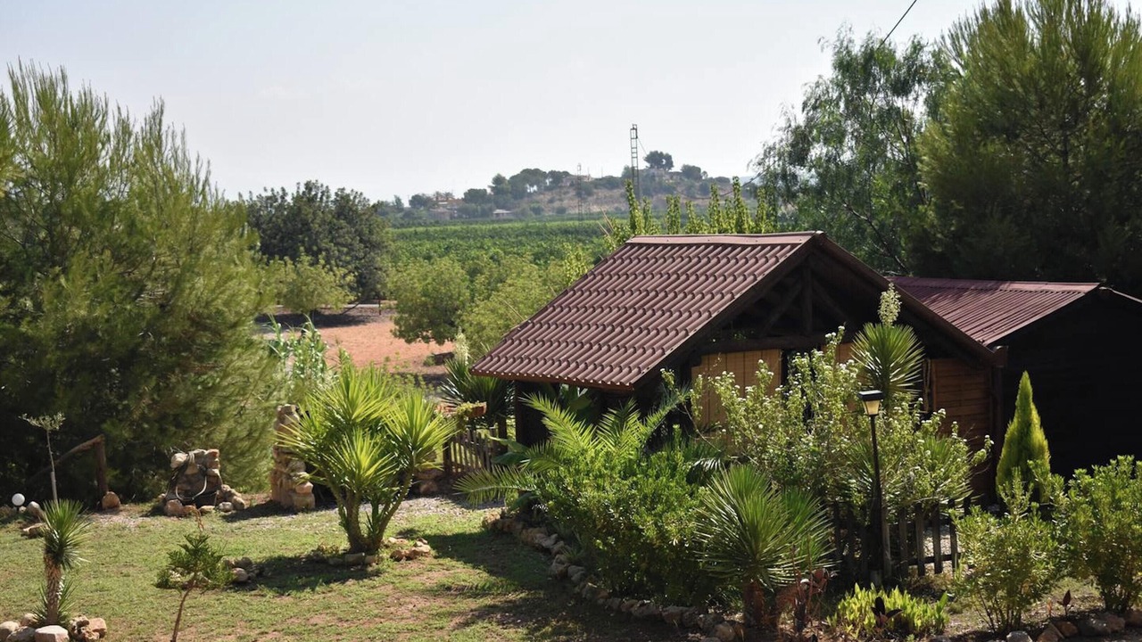 Photo of Outdoor in Pedralba
