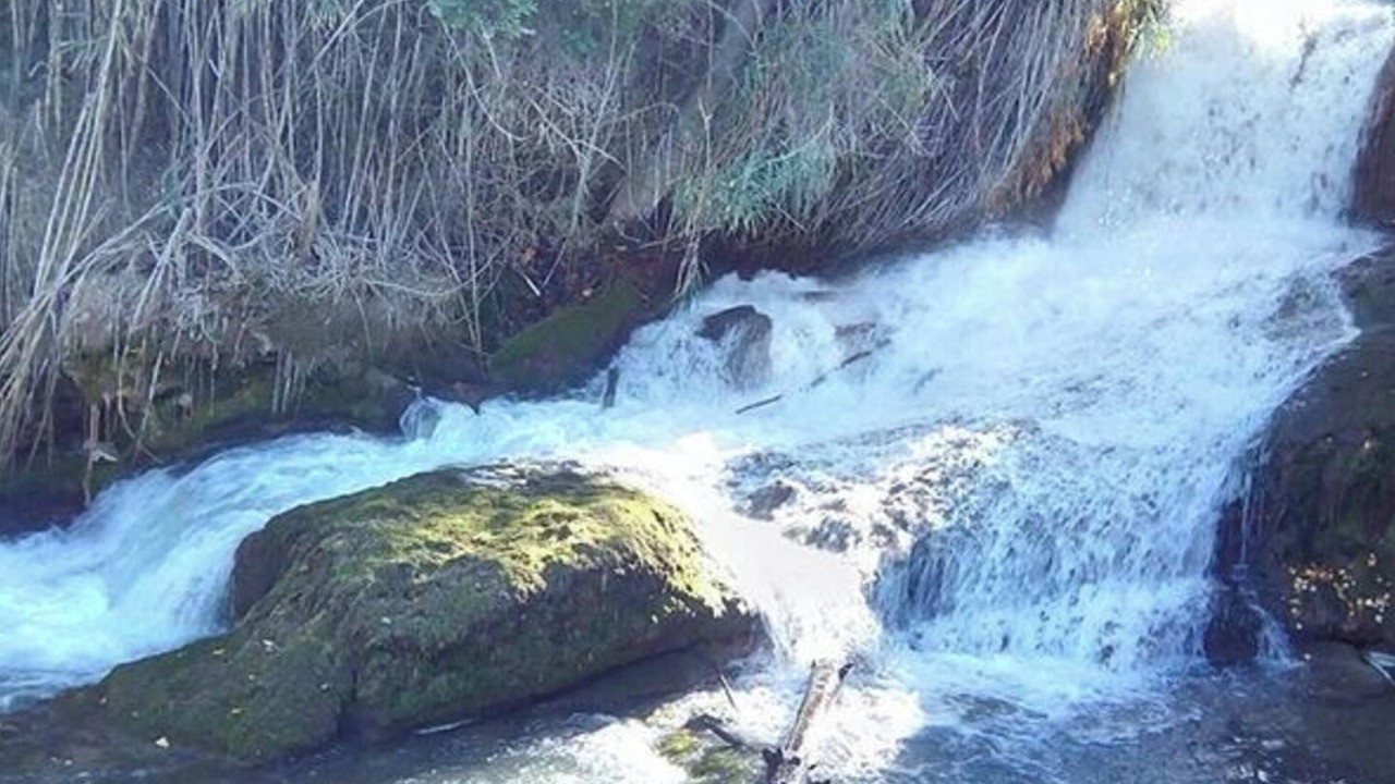 Photo of Others in Pedralba