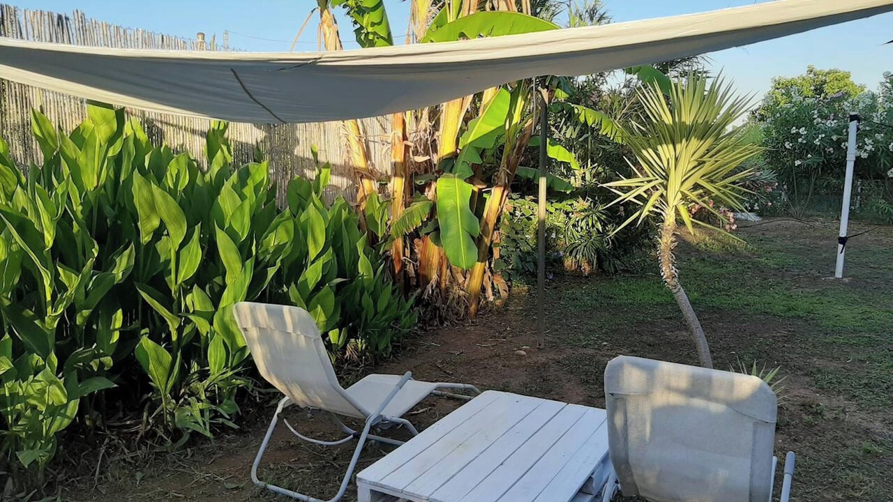 Photo of Outdoor in Pedralba