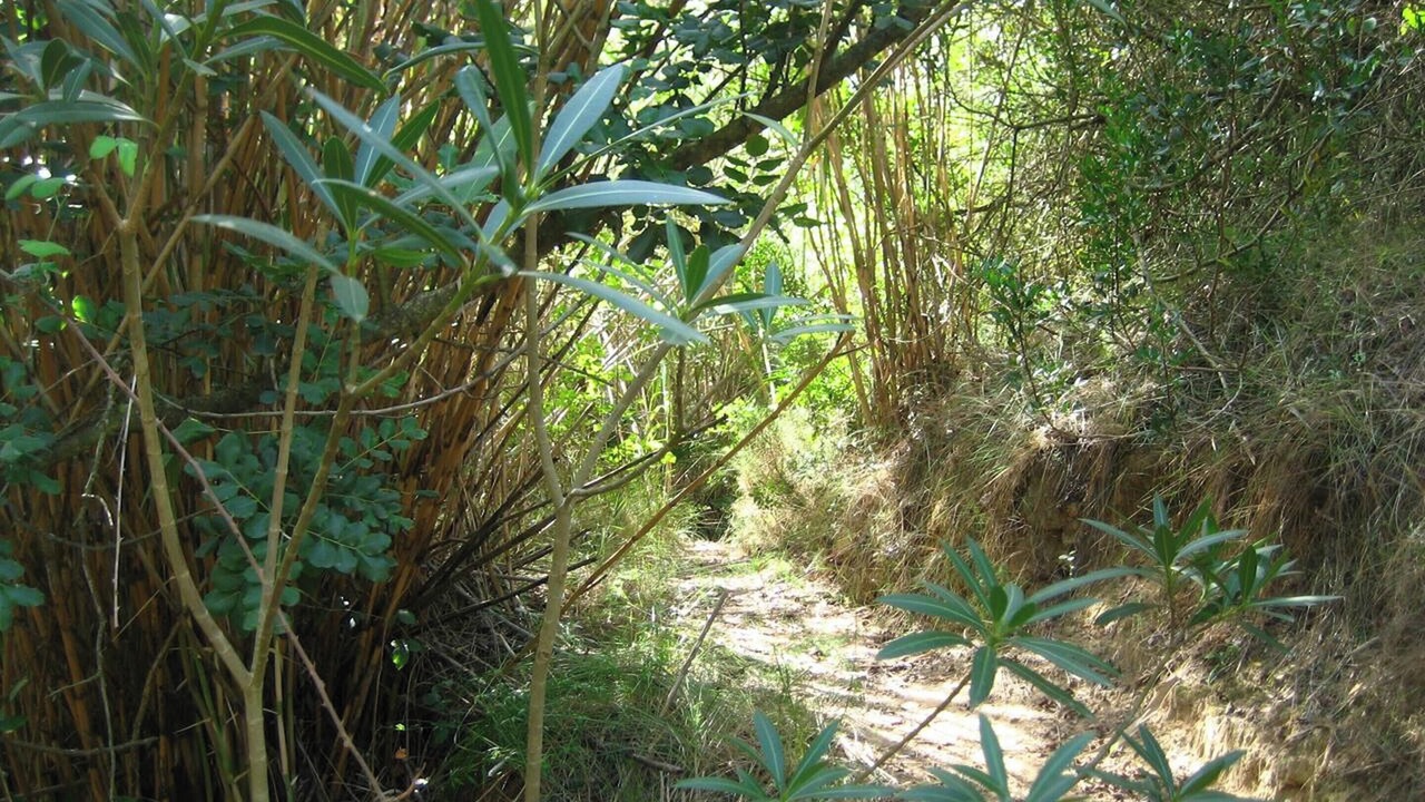 Photo of Outdoor in Pedralba