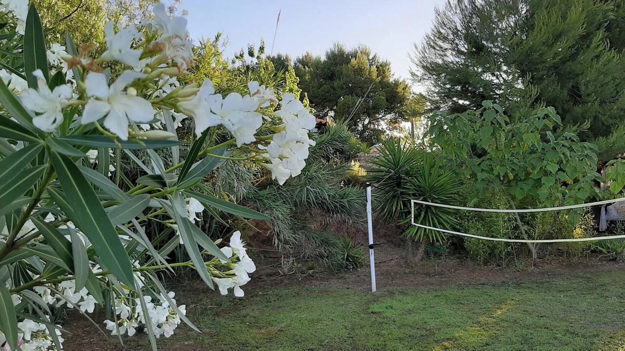 Photo of Outdoor in Pedralba