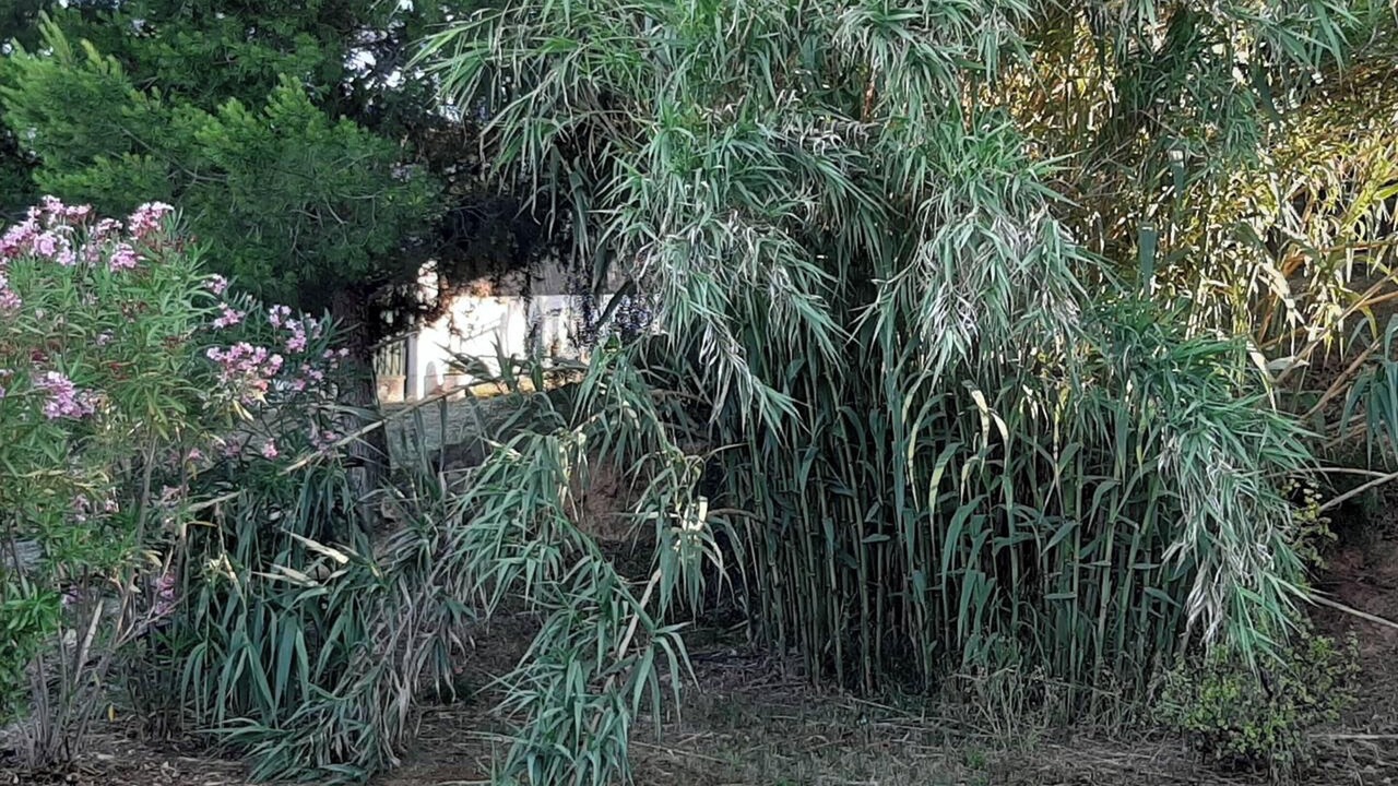 Photo of Outdoor in Pedralba