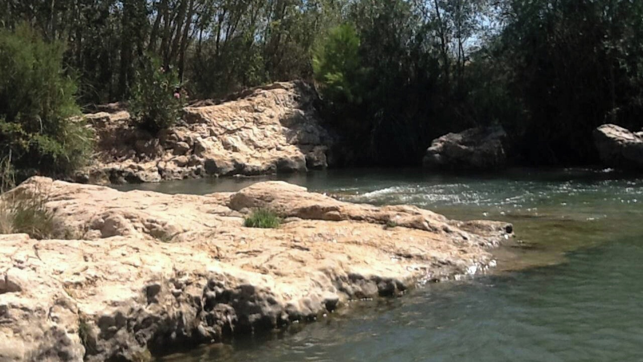 Photo of Others in Pedralba