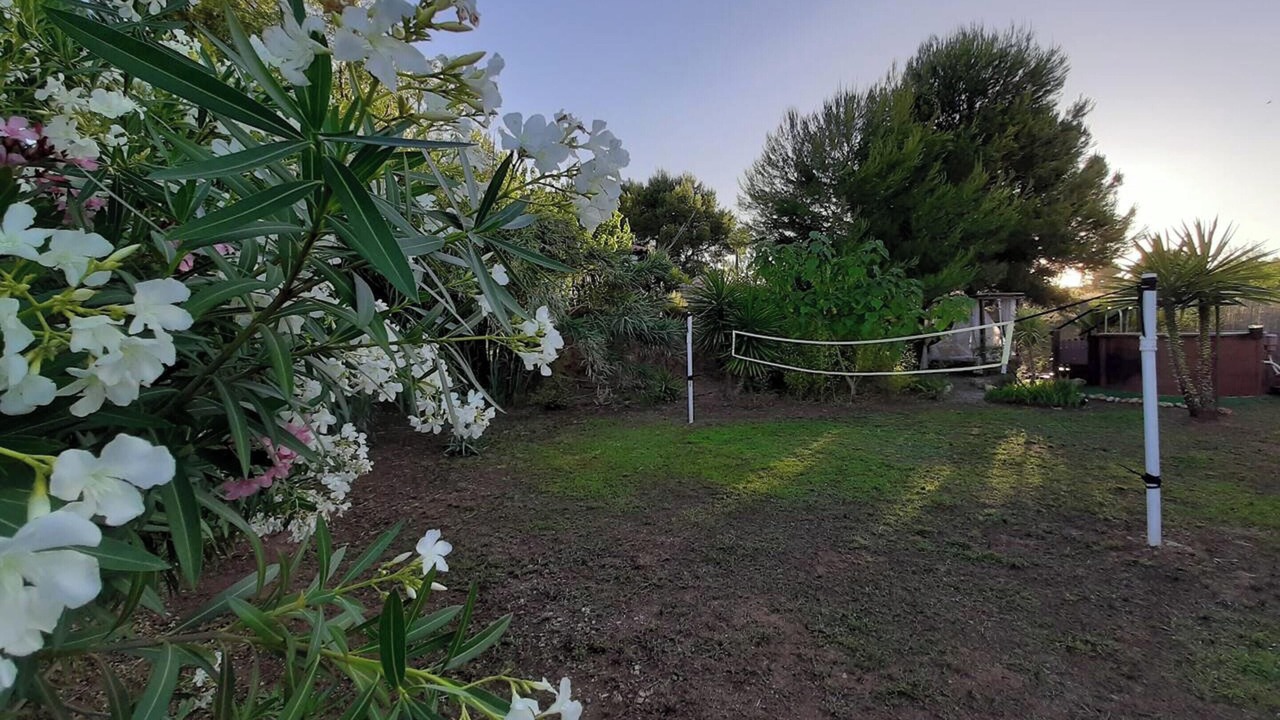 Photo of Outdoor in Pedralba