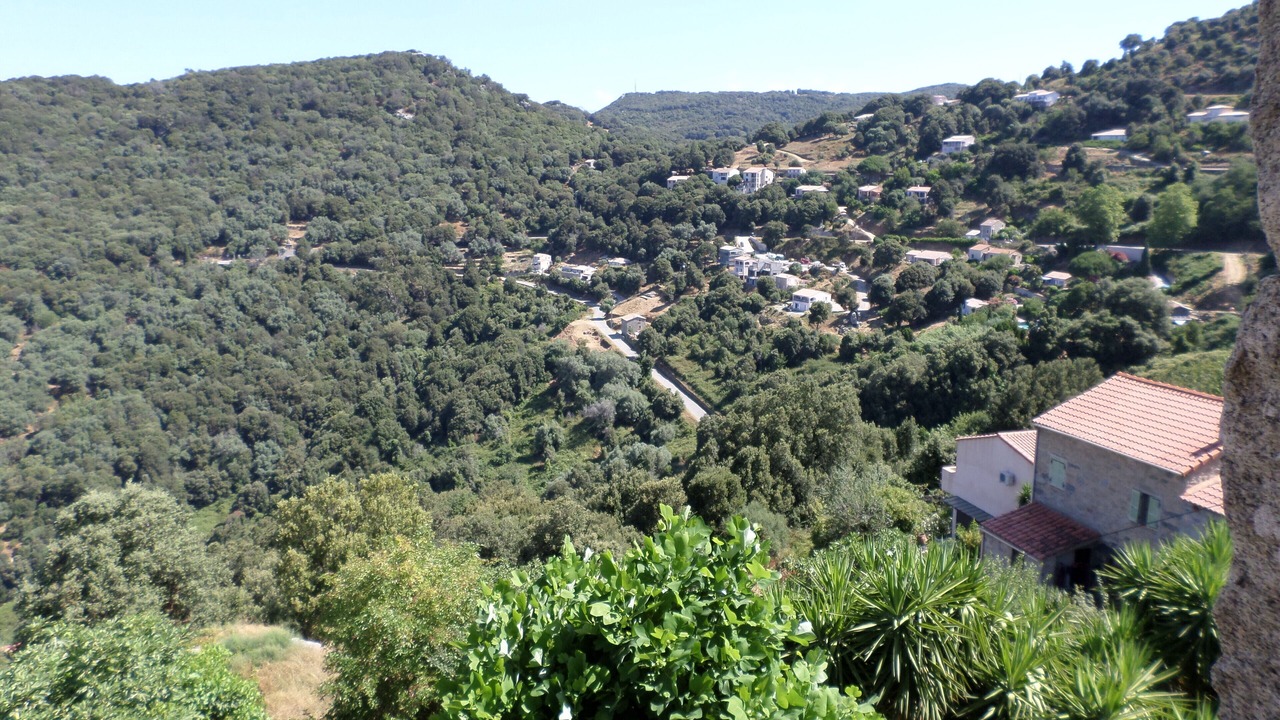 Photo of Outdoor in Sollacaro