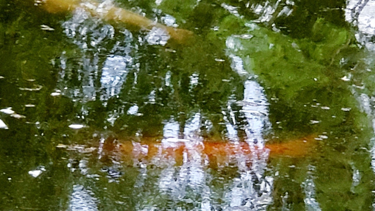 Photo of Others in Limekiln