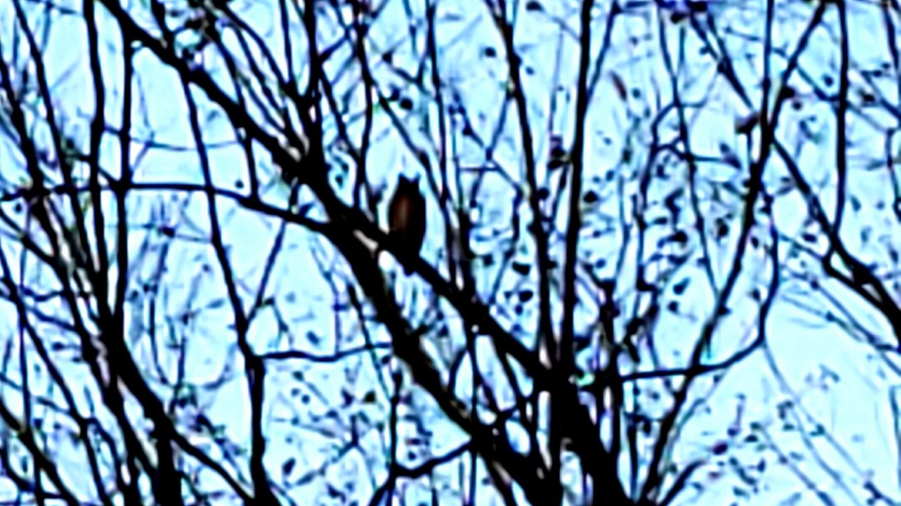 Photo of Others in Limekiln