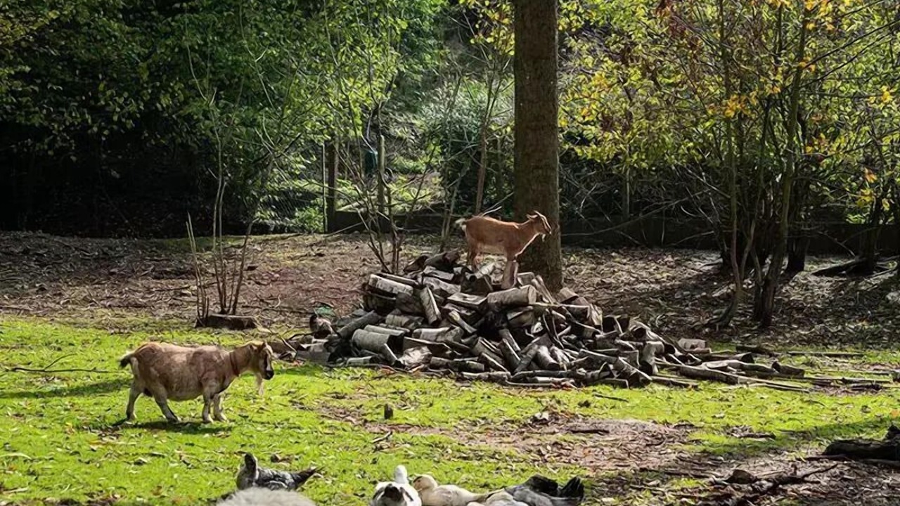 Photo of Others in Forges-les-Eaux