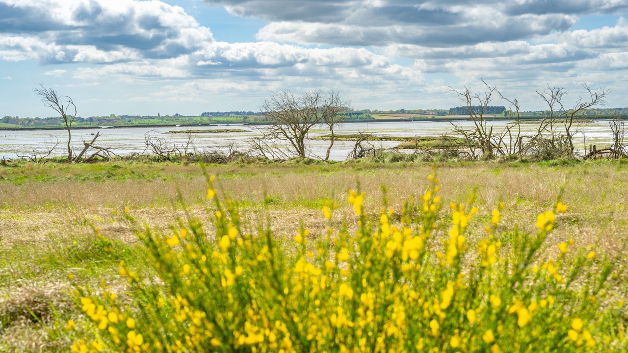 Photo of Others in Aldeburgh