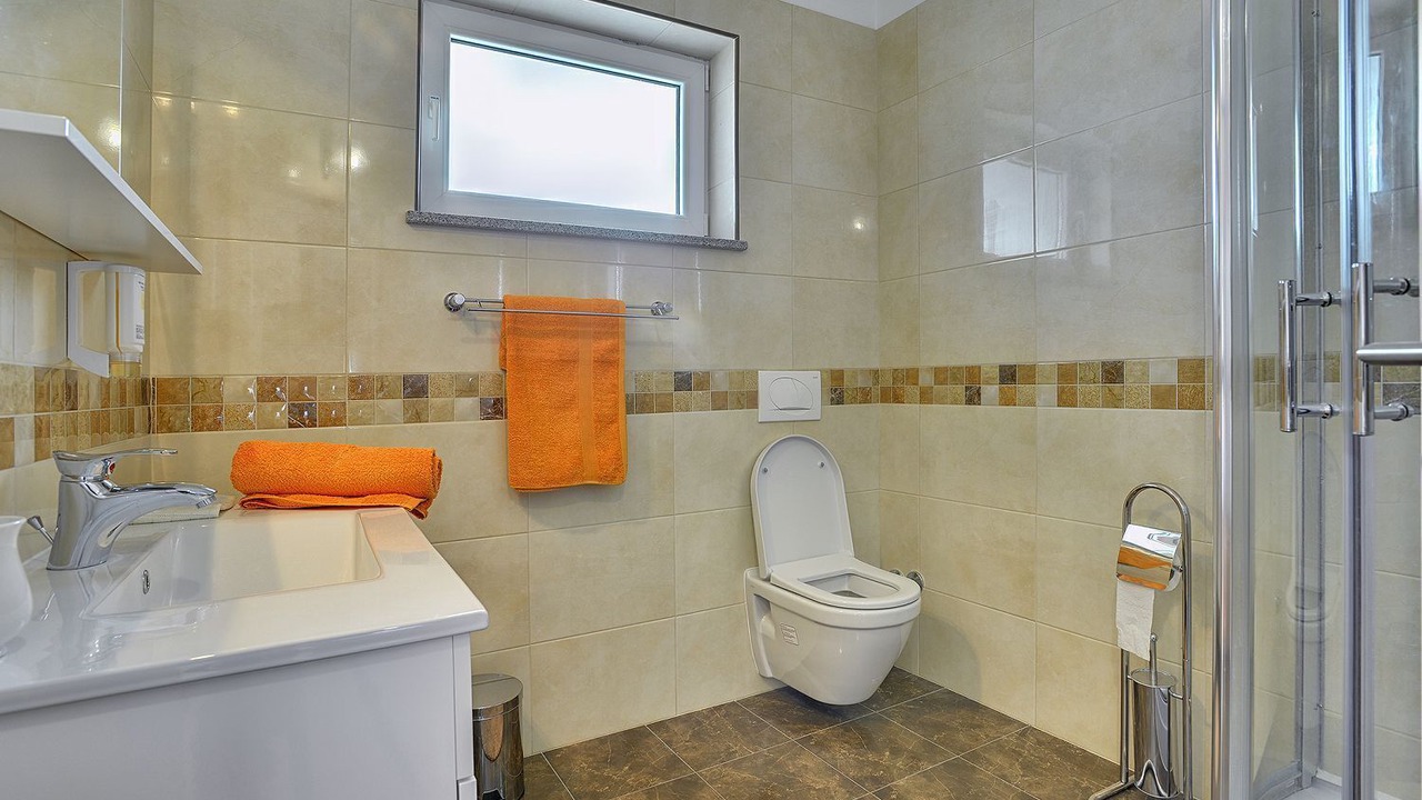 Photo of Bathroom in Orbanici