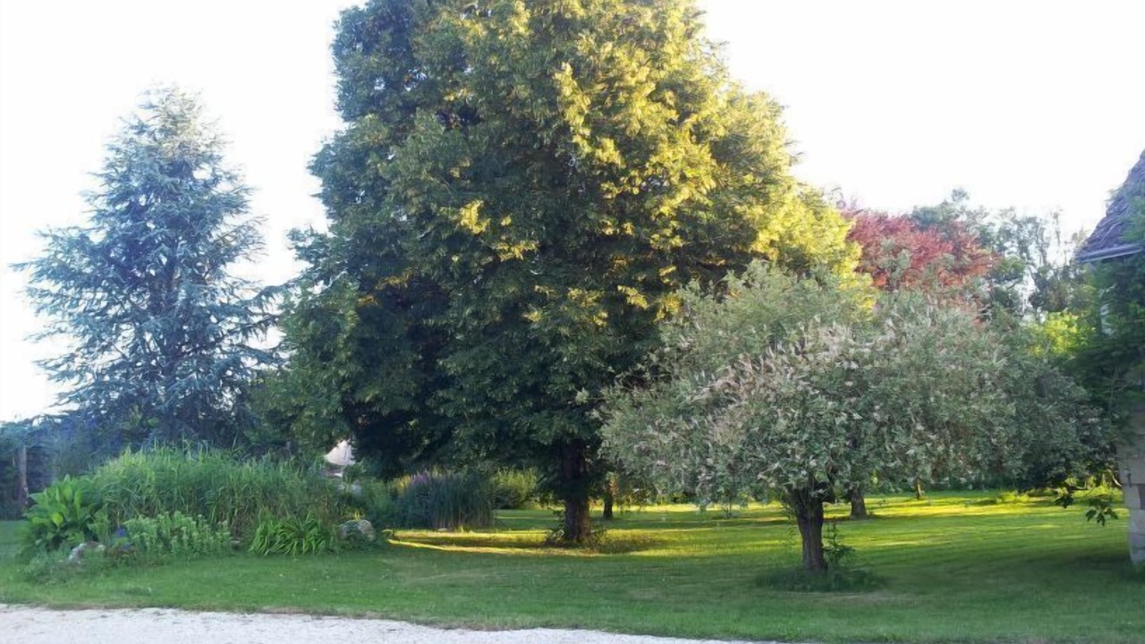Photo of Outdoor in Le-Petit-Pressigny