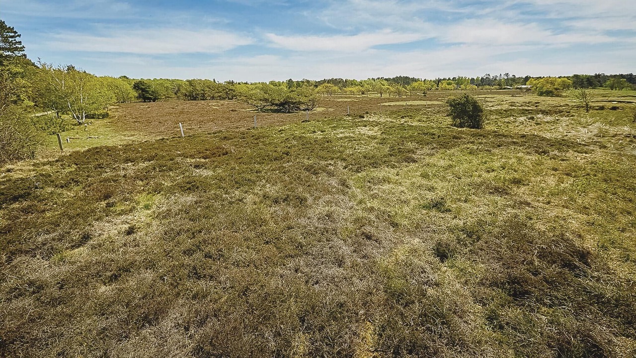 Photo of Others in Hoensinge