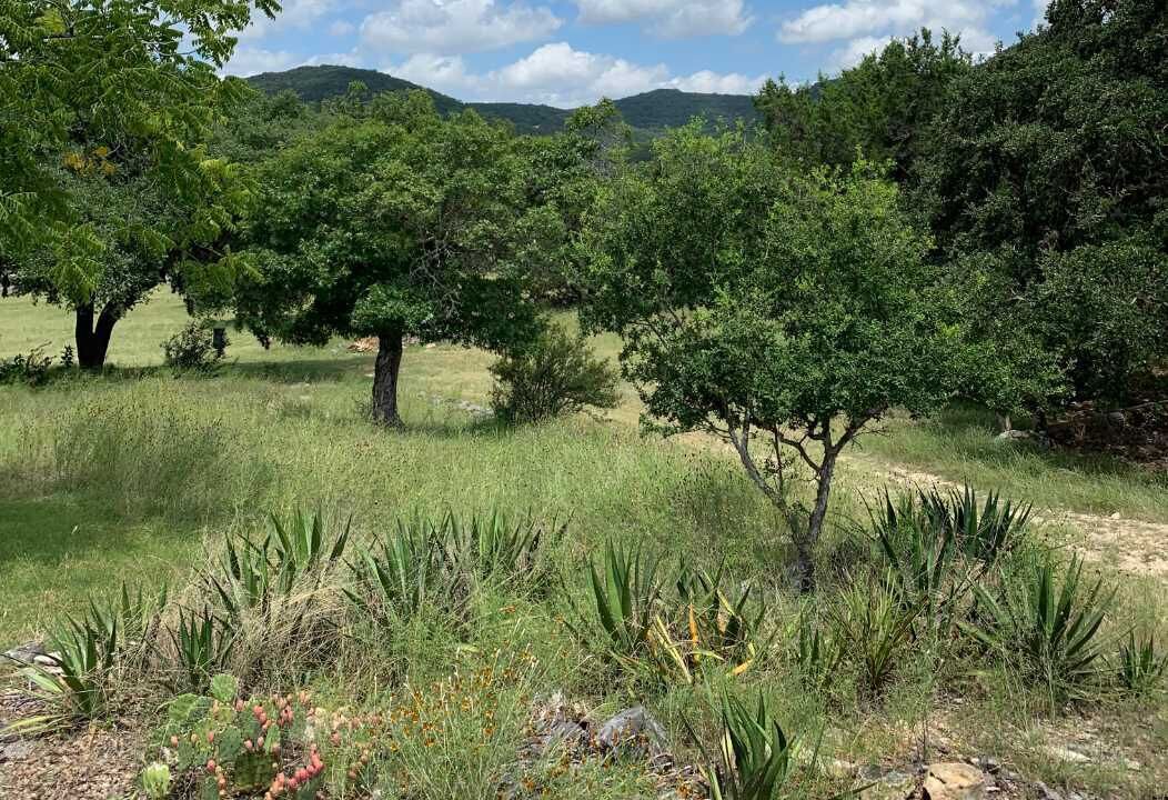 Photo of Outdoor in Pipe Creek