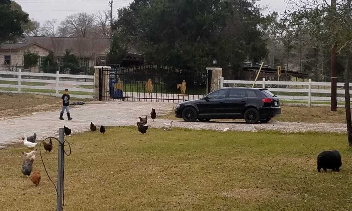 Photo of Outdoor in Willis
