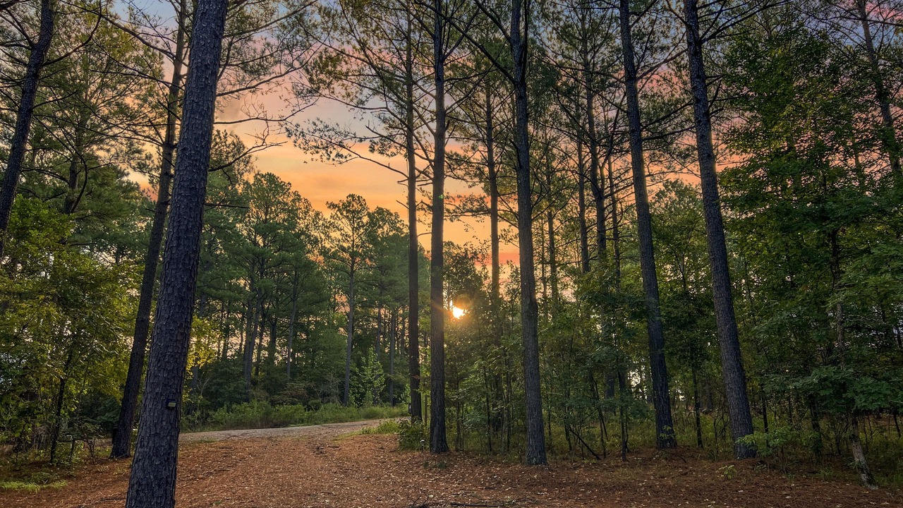 Photo of Outdoor in Broken Bow