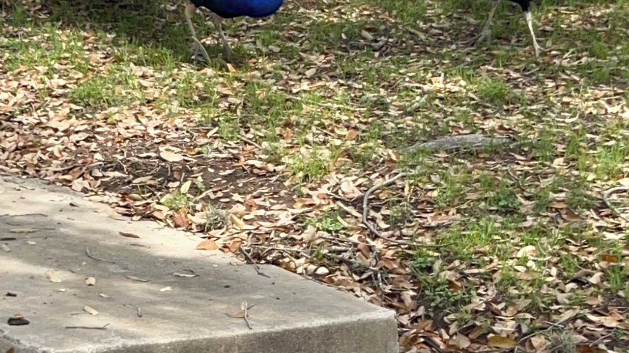 Photo of Outdoor in Medical Center District