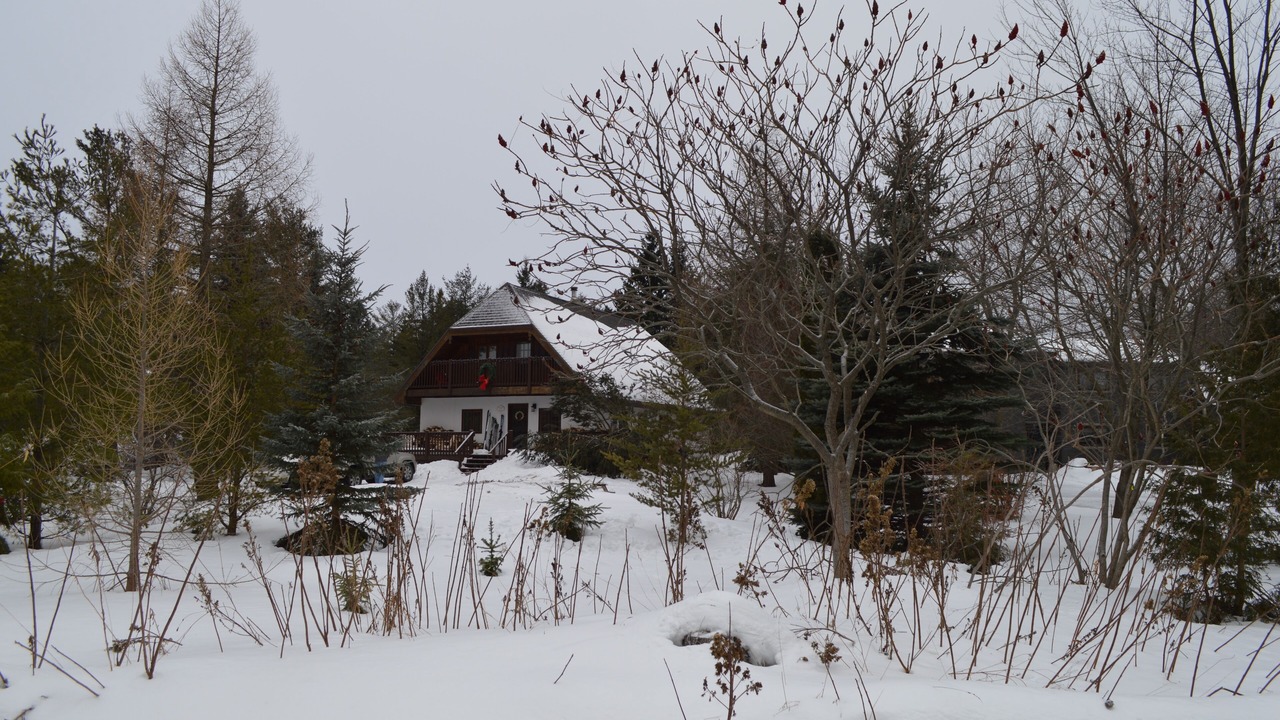 Photo of Outdoor in Swiss Meadows