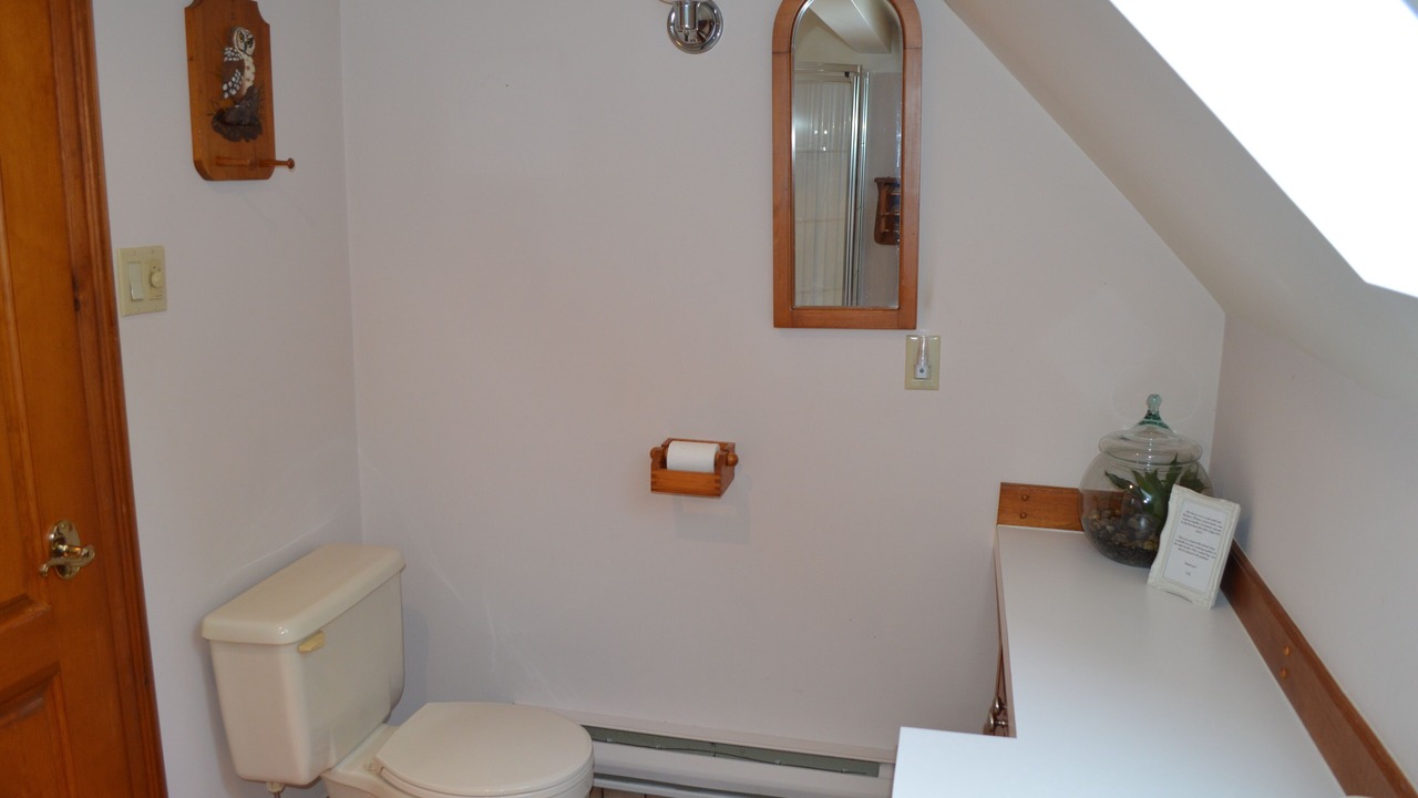 Photo of Bathroom in Swiss Meadows