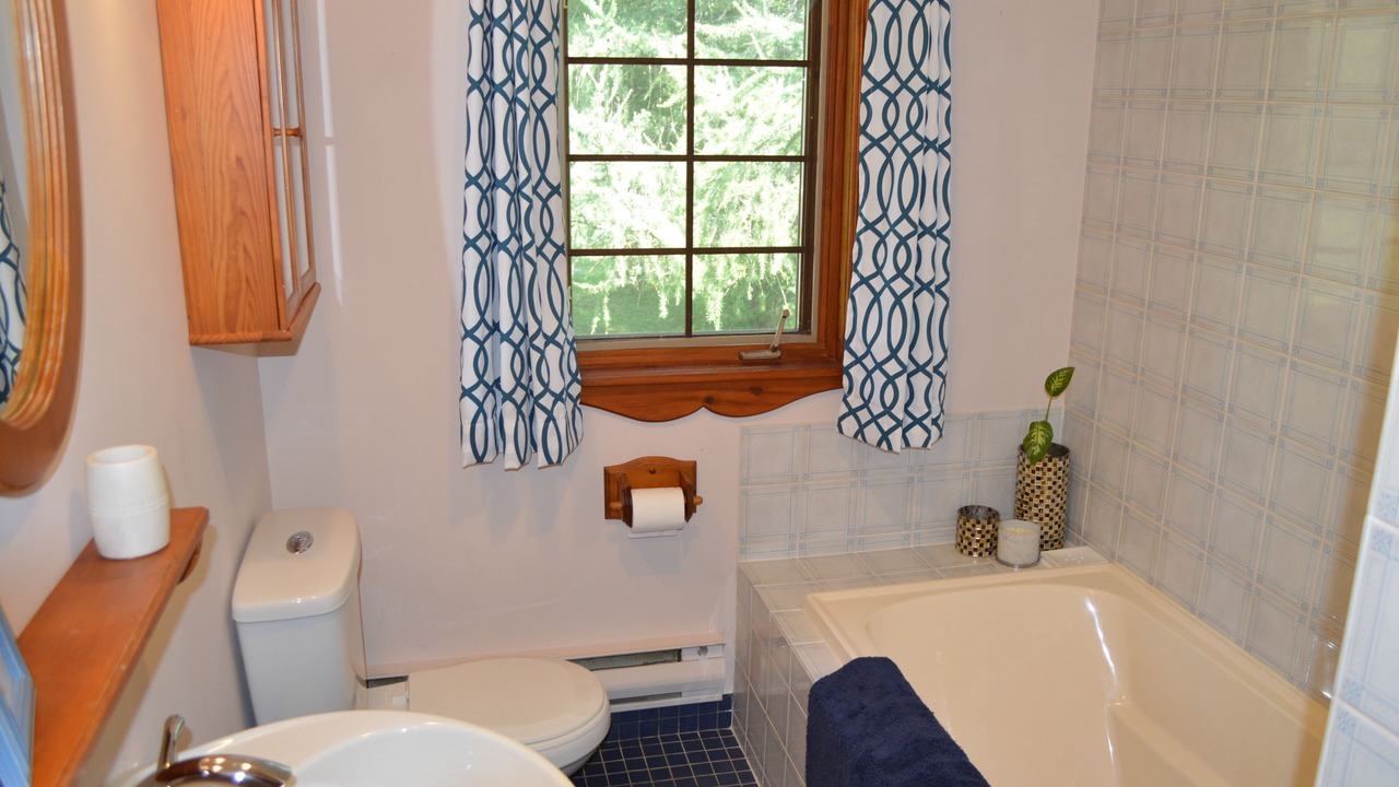 Photo of Bathroom in Swiss Meadows