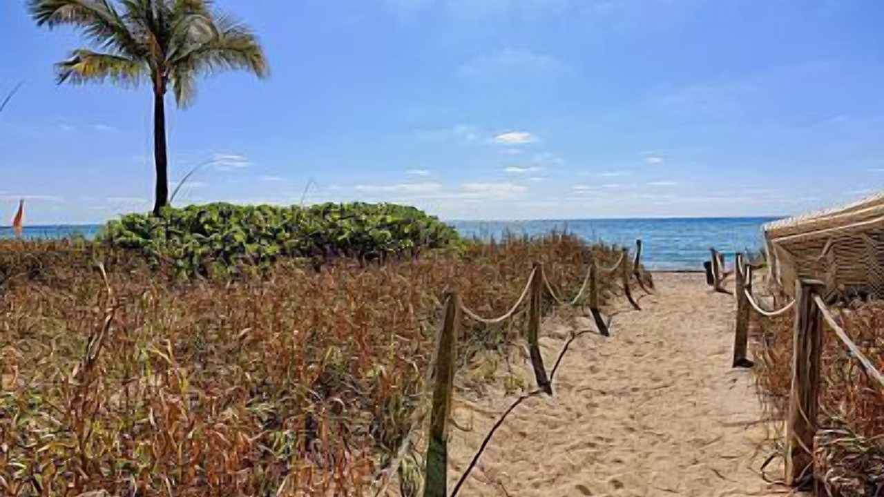 Photo of Others in Hallandale Beach
