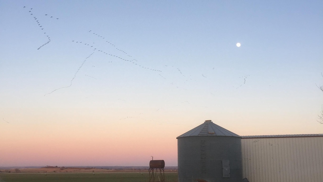 Photo of Others in Fort Cobb