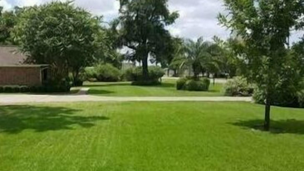 Photo of Outdoor in Channelview