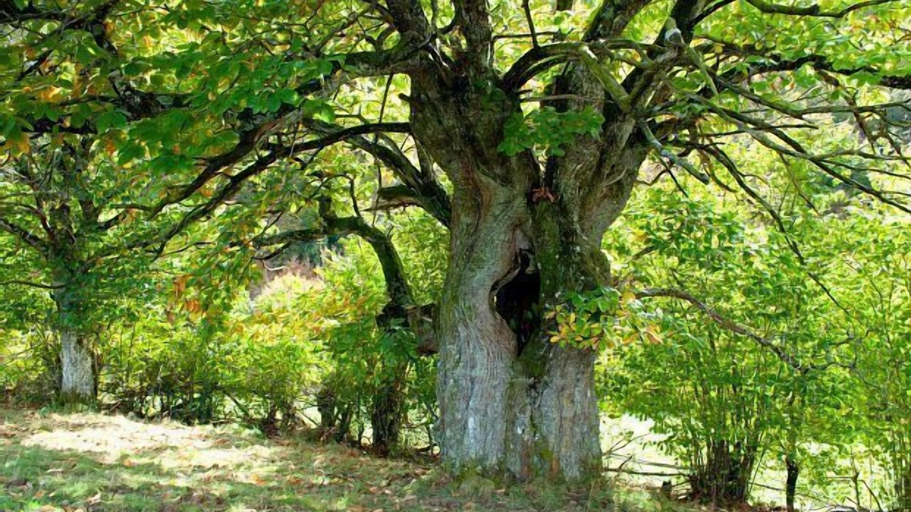 Photo of Outdoor in Erro