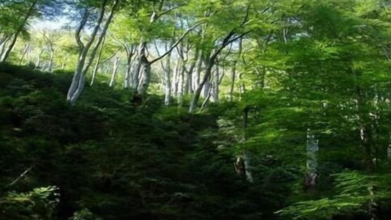 Photo of Outdoor in Erro